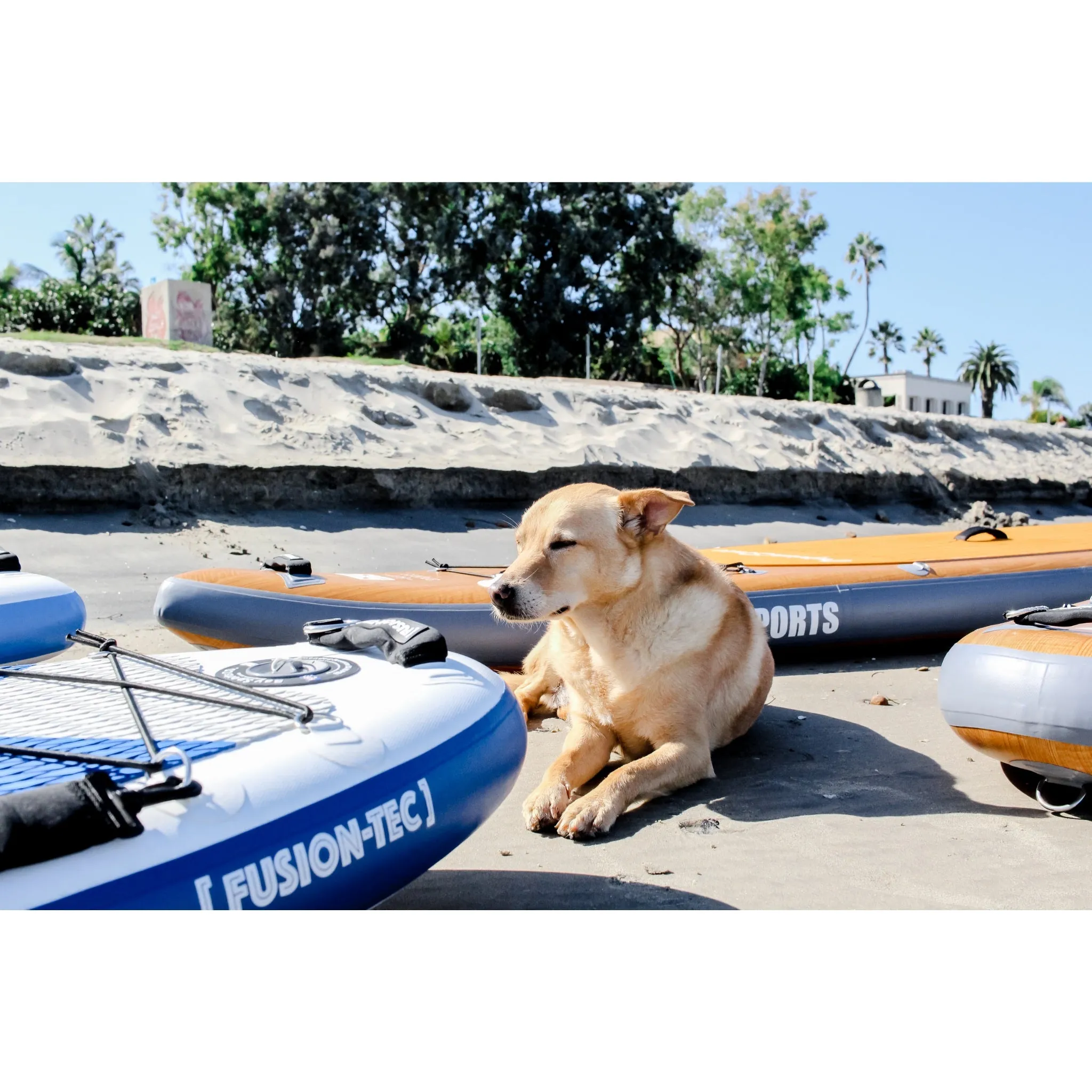 11'6" Tour - Premium Inflatable Stand Up Paddle Board Package