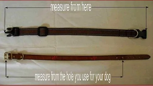 Apache Beaded Dog Collar