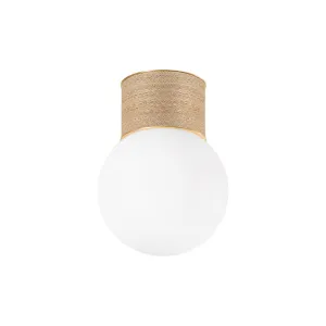 Ardsley Flush Mount