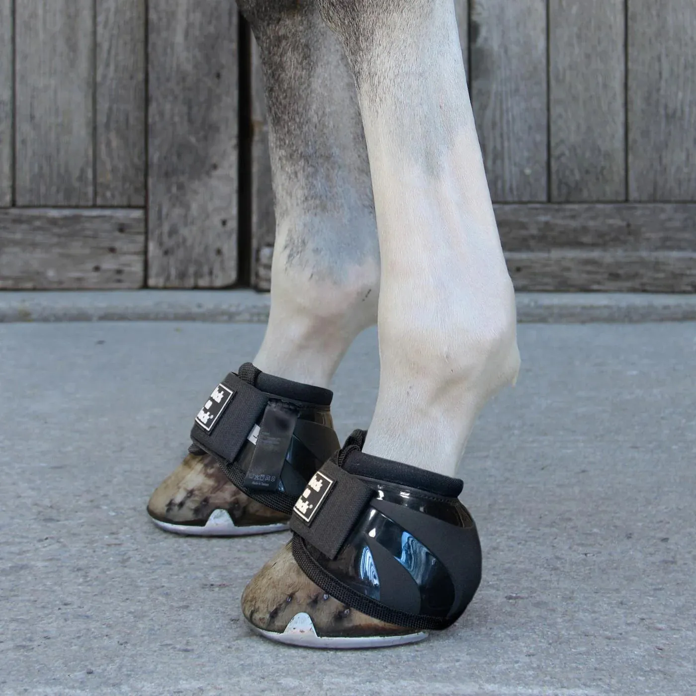 Back on Track Bell Boots Royal
