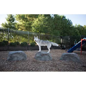 Barkpark Stepping Stones (Set of 3)