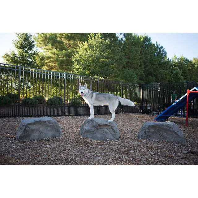 Barkpark Stepping Stones (Set of 3)