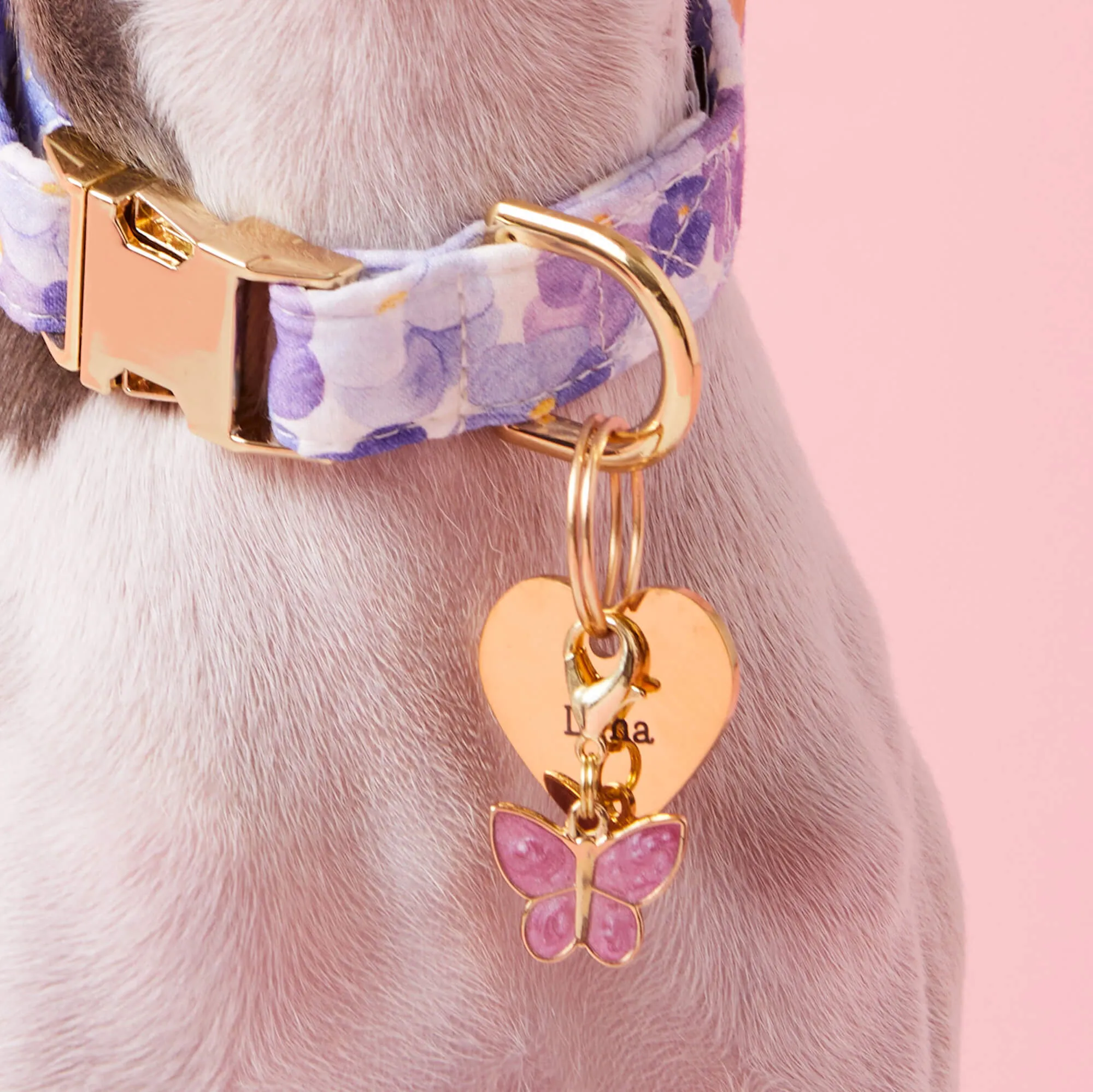 Butterfly Collar Charm