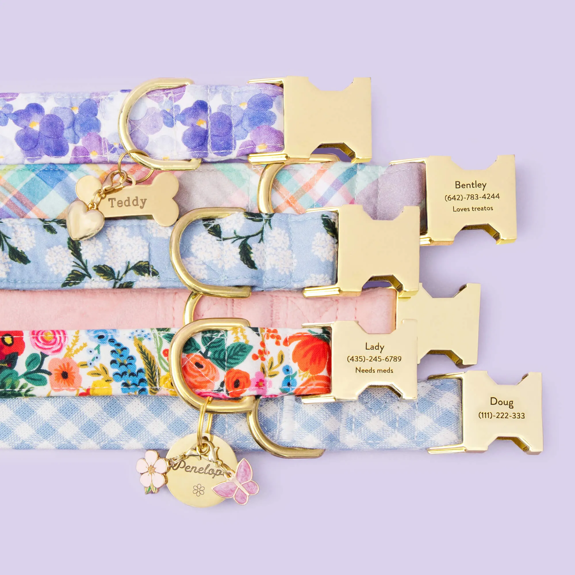 Butterfly Collar Charm