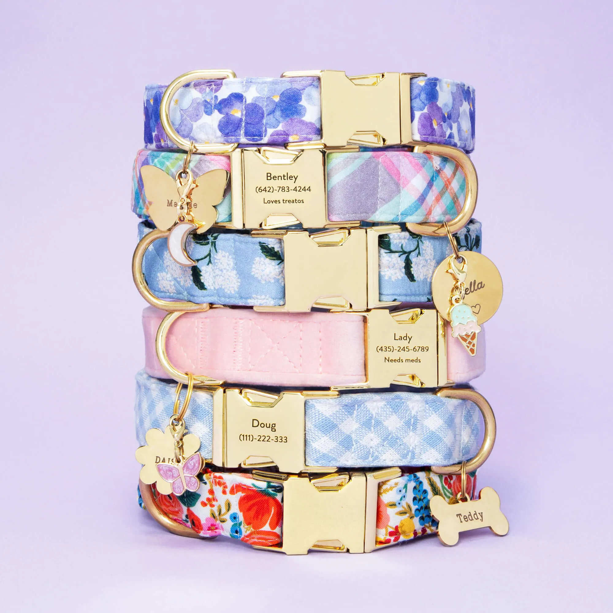 Butterfly Collar Charm