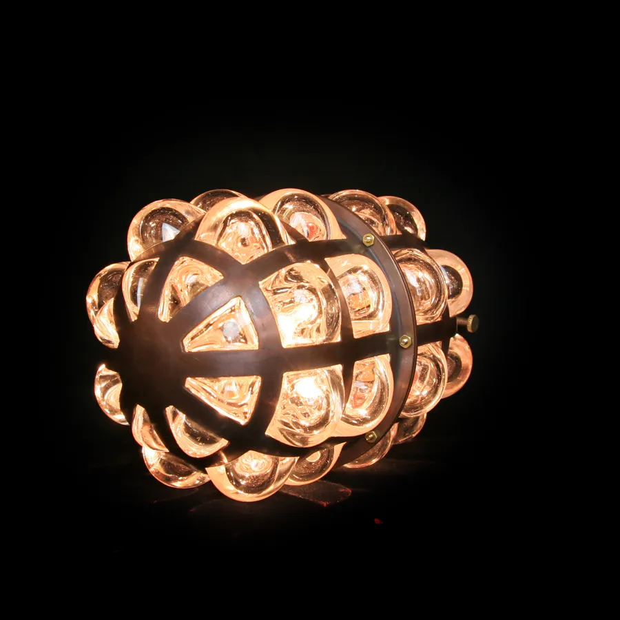 Dandelion Pill Pendant Lamp