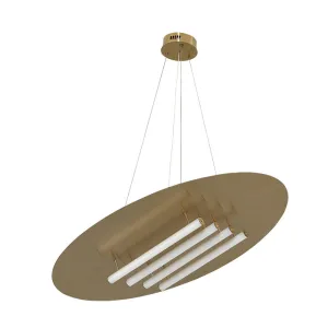 Large Disc Pendant Light