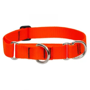 Lupine Basics Martingale Collar Blaze Orange