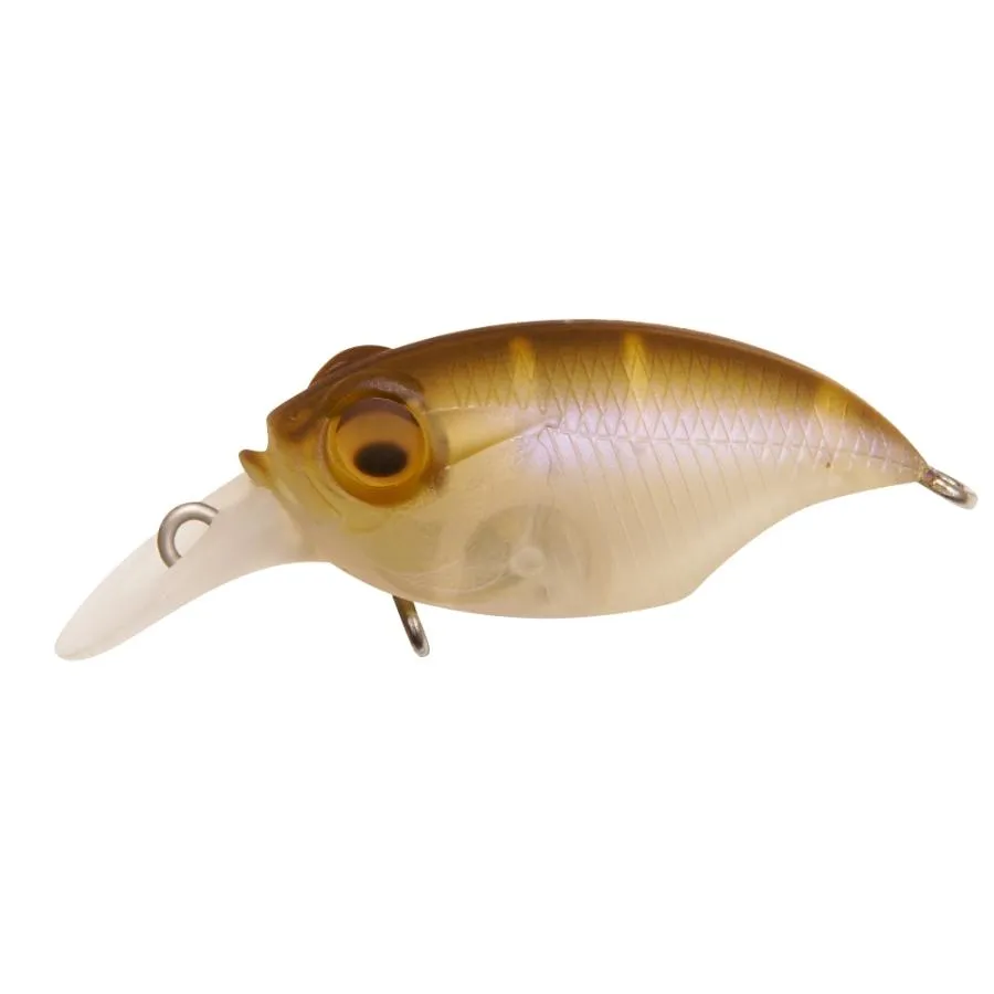 Megabass SR-X Griffon (BFS)