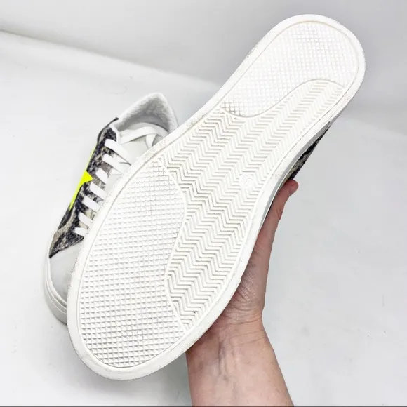New Steve Madden Star Sneakers
