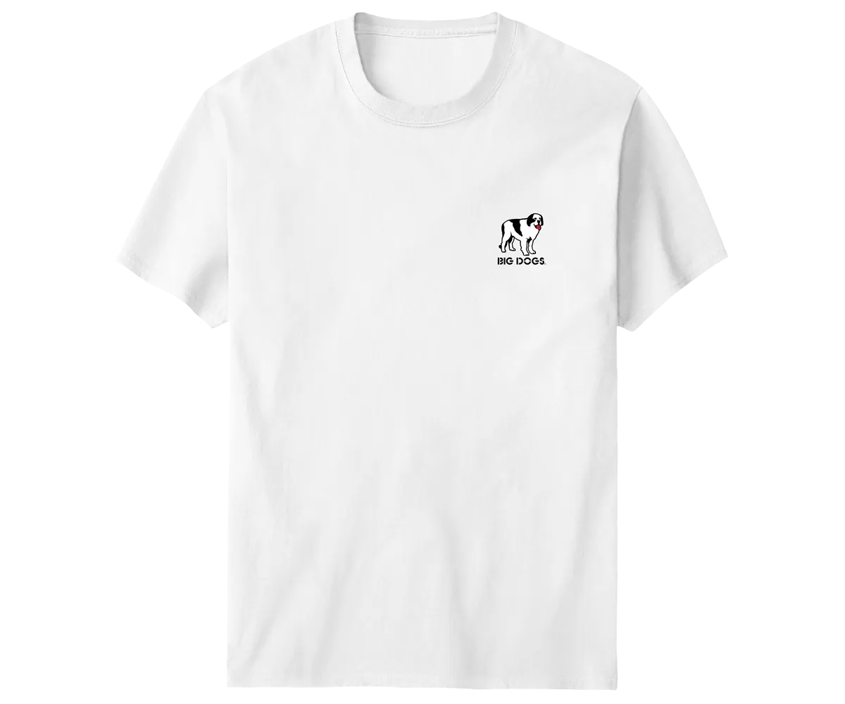 Not Saying You Are Stupid T-Shirt