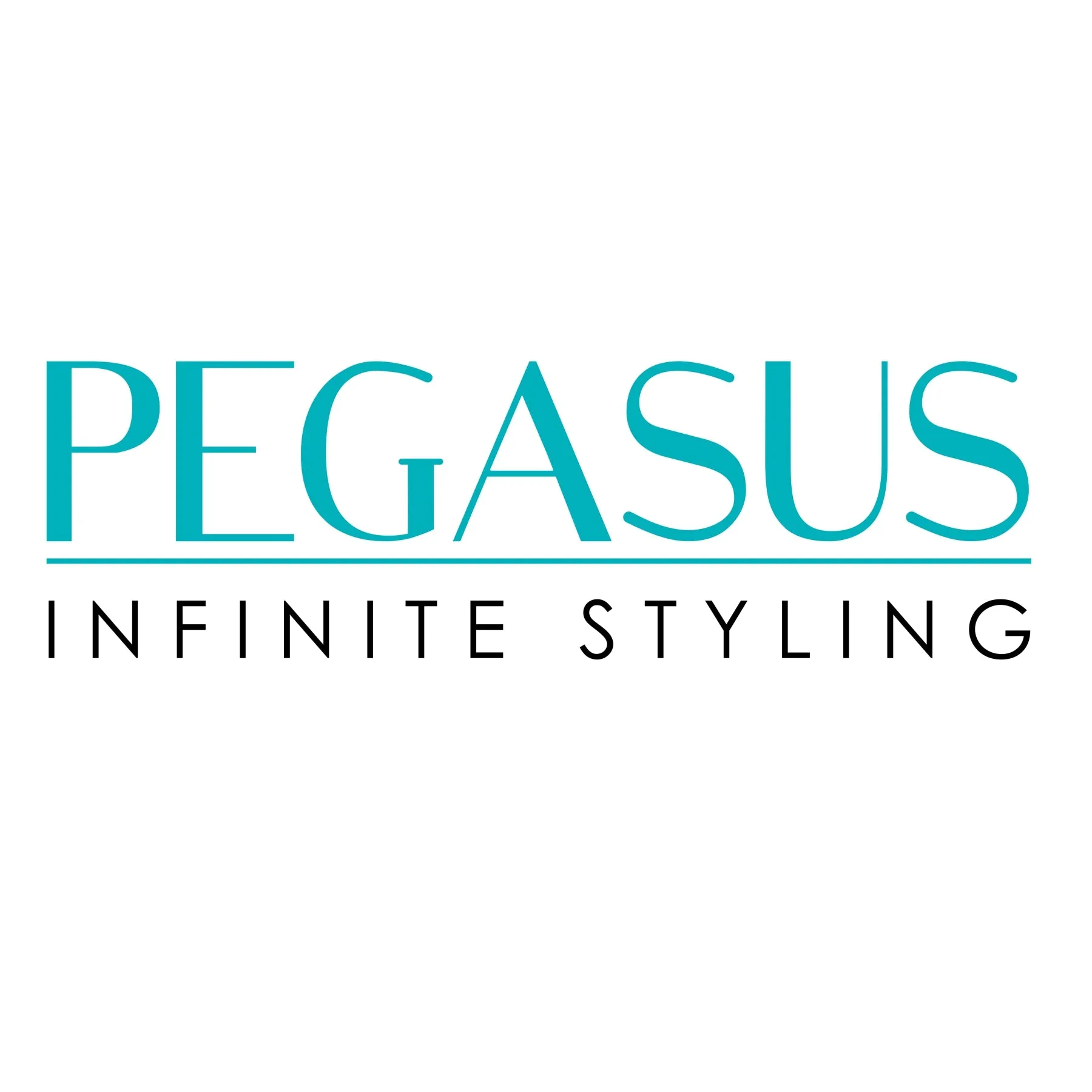 Pegasus 503, 8.5in Hard Rubber Handle Comb, Handmade, Seamless, Smooth Edges, Anti Static, Heat and Chemically Resistant, Wet Hair, Everyday Grooming Comb | Peines de goma dura - Black