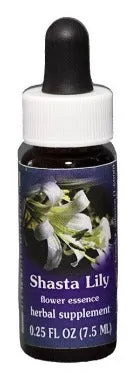 Range of Light - Shasta Lily Flower Essence - .25 fl oz