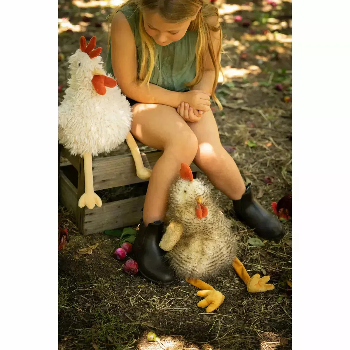 Roy the Rooster
