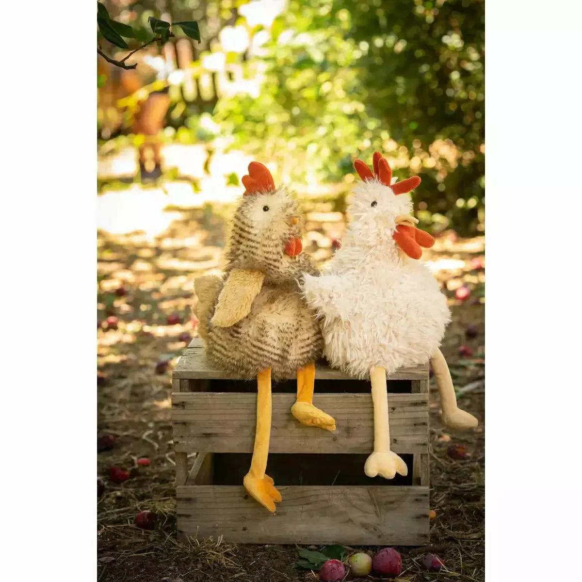 Roy the Rooster