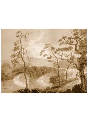 Savery Sepia Collection, British, 19th c.
