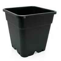 Square Plant Pots