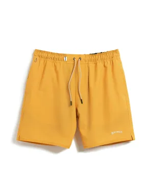 Wright Lined Short - Gold